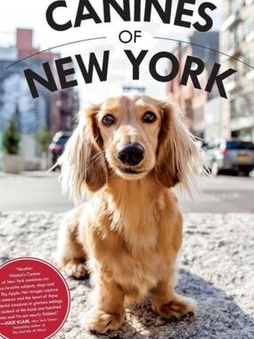 Canines of New York Coffee Table Book | Like New | Heather Weston